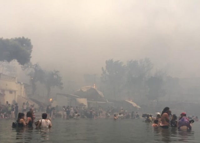 poindioksi mati