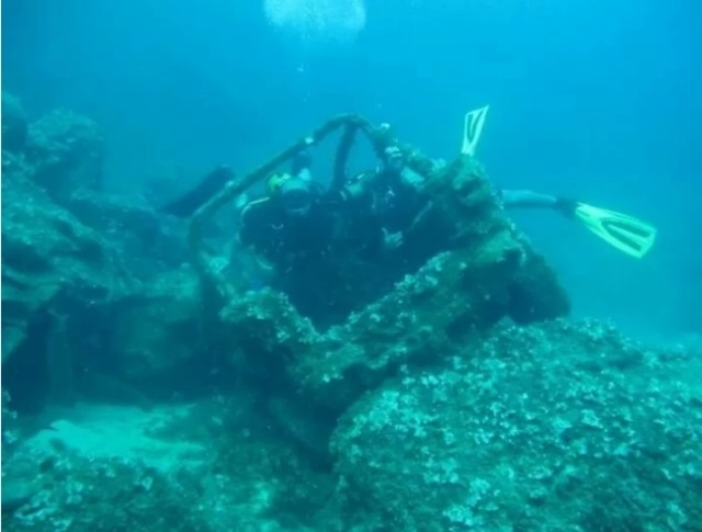 taf4