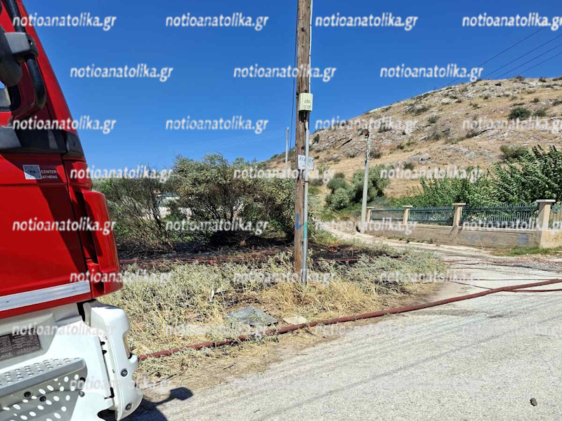 agmagd2