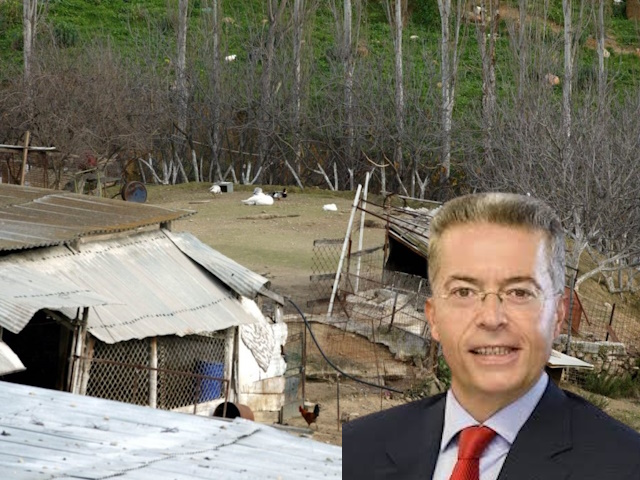 Αυθαίρετα μαντριά μέσα στο δάσος: Τι αποφάσισε το Συμβούλιο της Επικρατείας