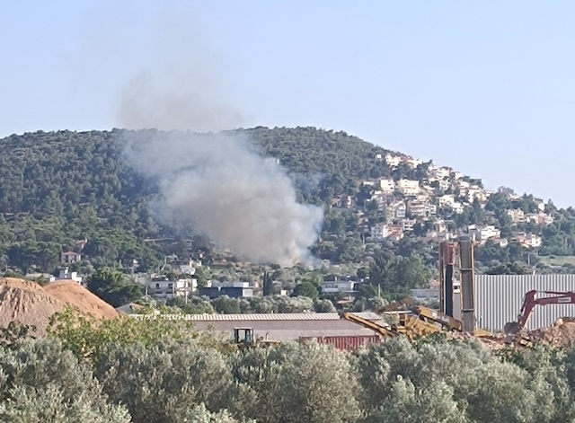 Φωτιά σε εξέλιξη στην περιοχή Μπούρα στην Αργιθέα Παιανίας