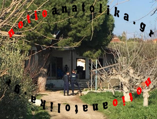 fteri1