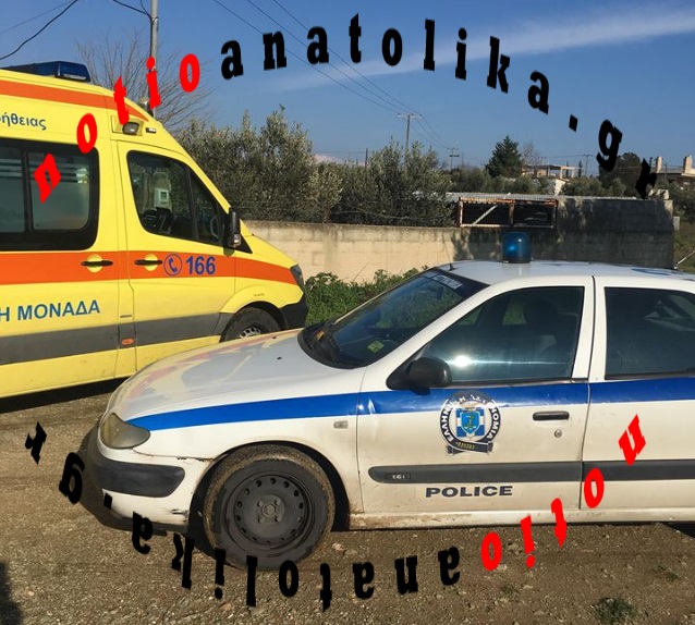 fteri5