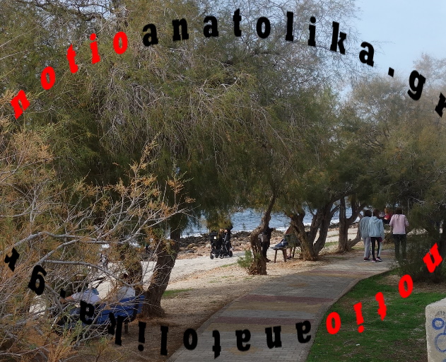 10 saronid