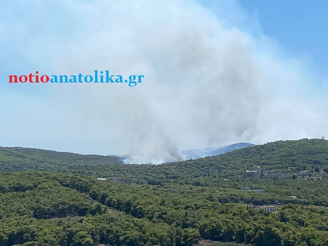 pirkagia evo