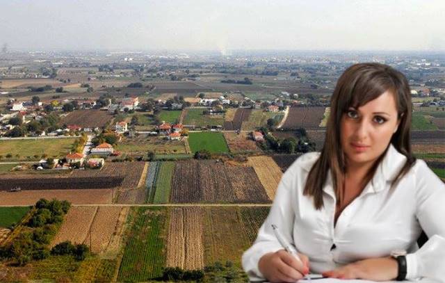 1kosmidi domisi new