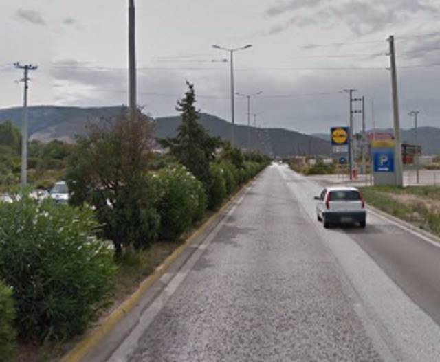 lidl pirkagia