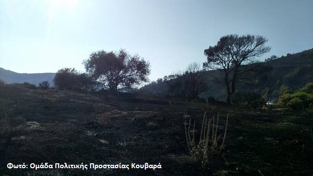 plaka6