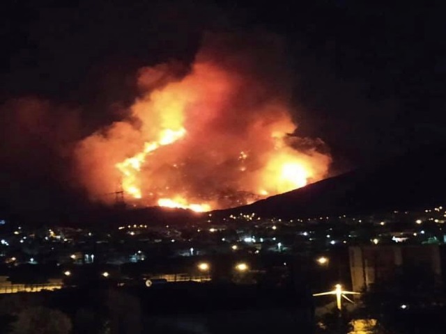fotia prosilio