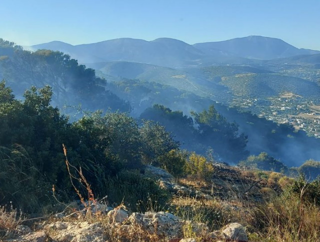 eikon3