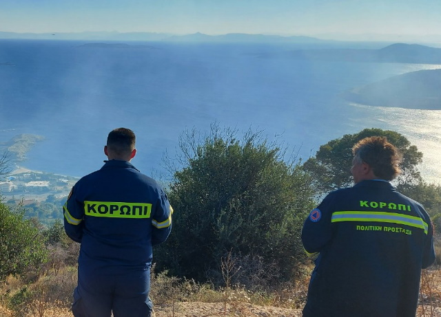 eikon4