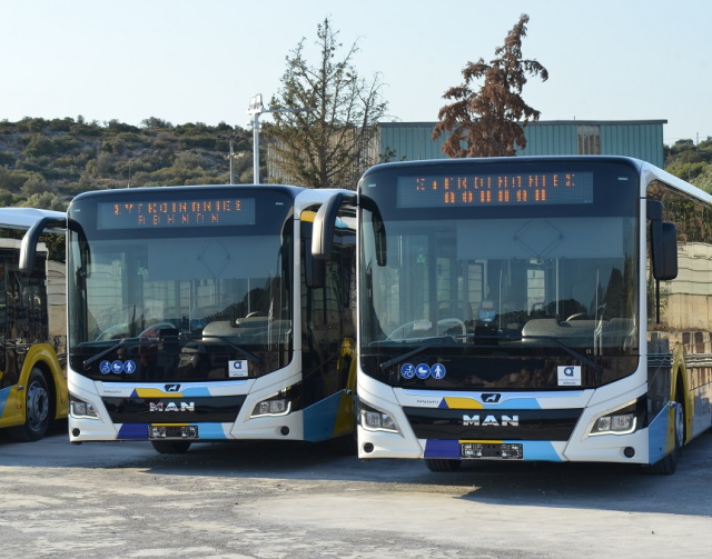 diamart portorafti