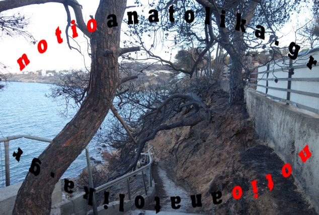 od7