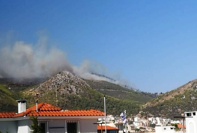 pirk nmakri1