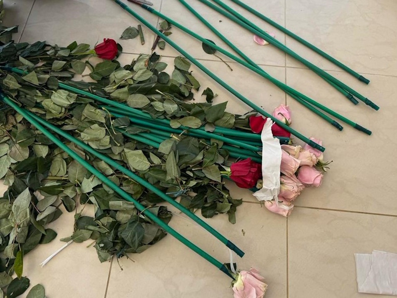 «Τα άνθη του κακού»: Από τη Μπογκοτά στην Αρτέμιδα και από εκεί στον Μαραθώνα