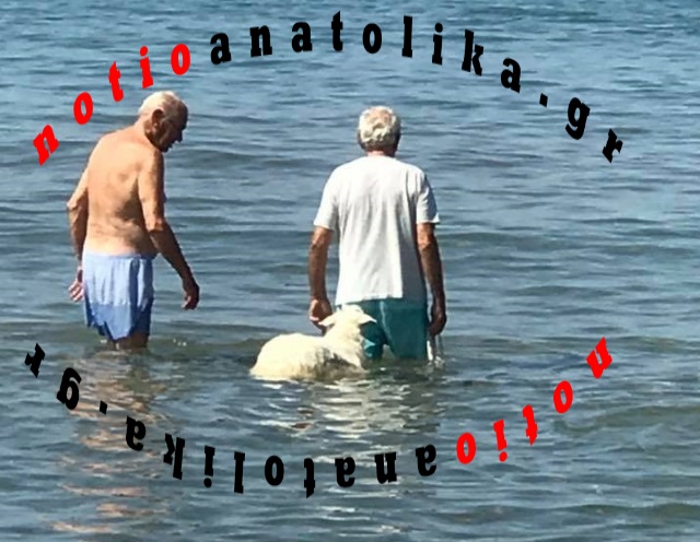 sokratis provato