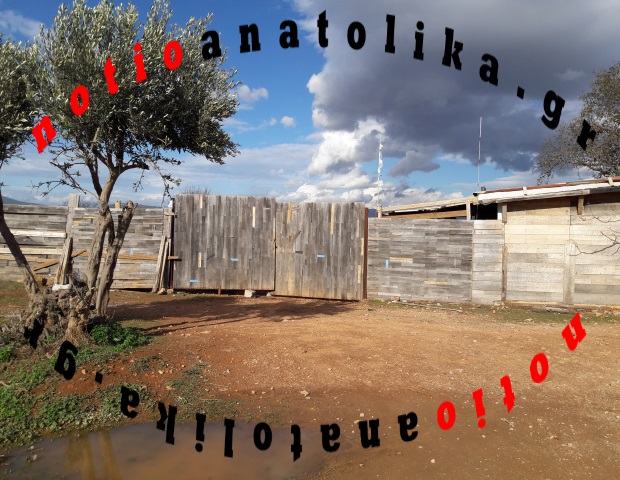 dolof1
