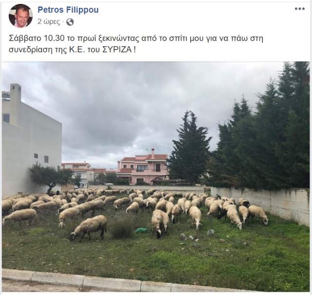 anartisifilip