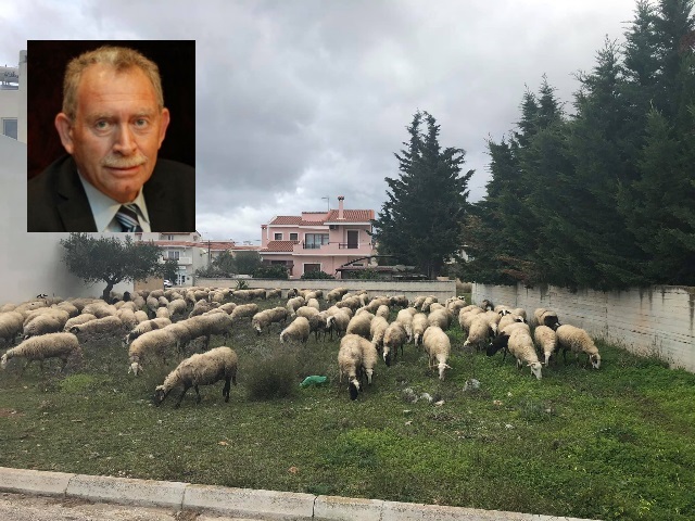 provata filipou
