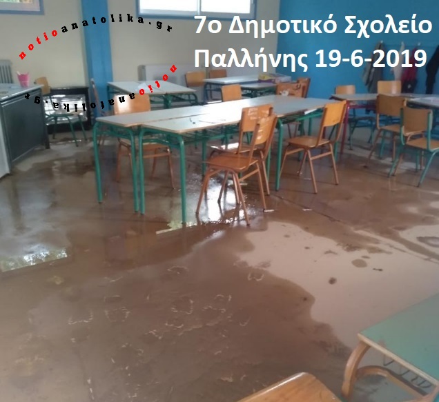 2019 3