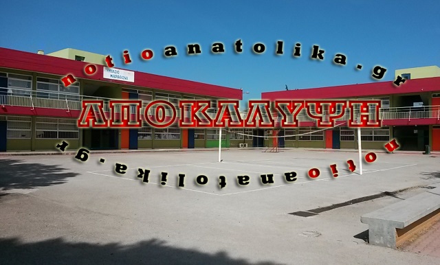 gimnmarath ekselixi