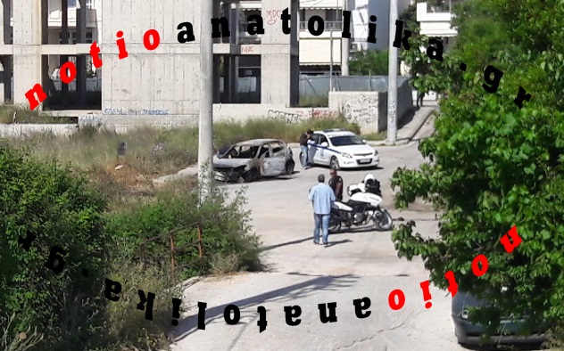gln6