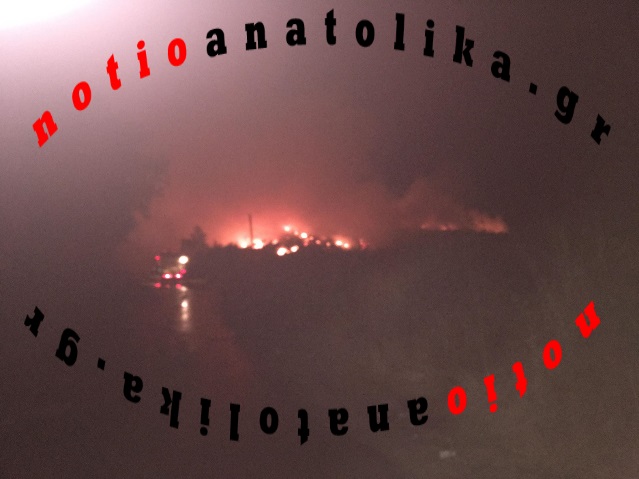 klademata fotia