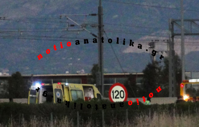 troxaio vasiki
